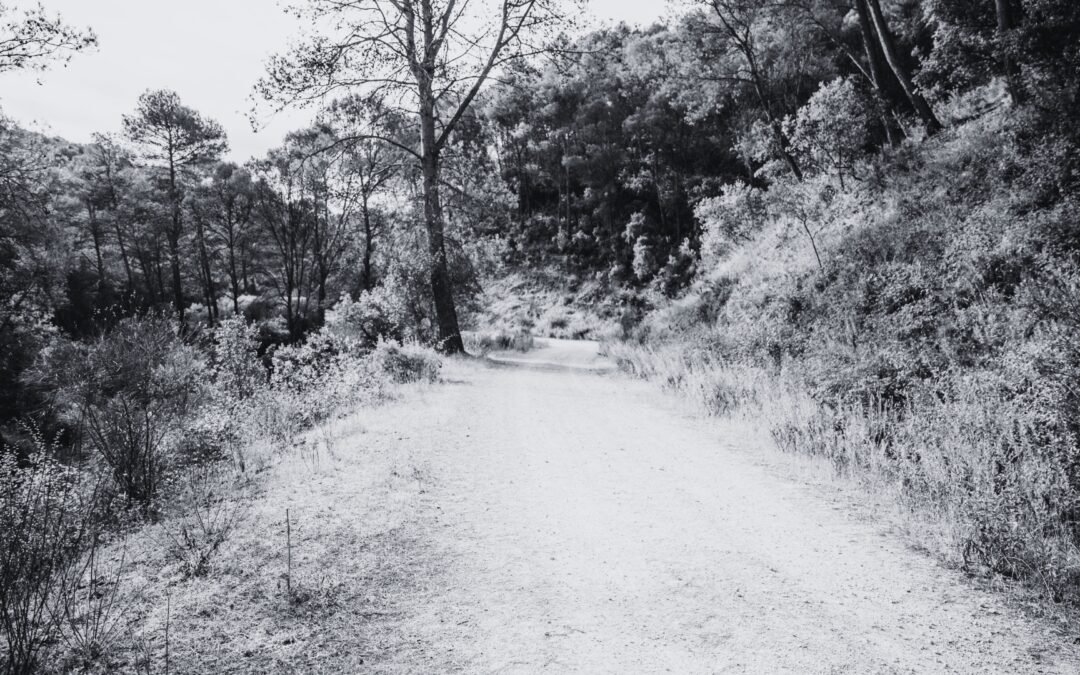 2º – Onde tudo começa