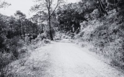 2º – Onde tudo começa